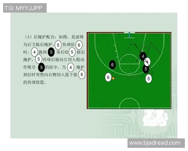 杭州篮球队灵活性分析与战术创新探讨